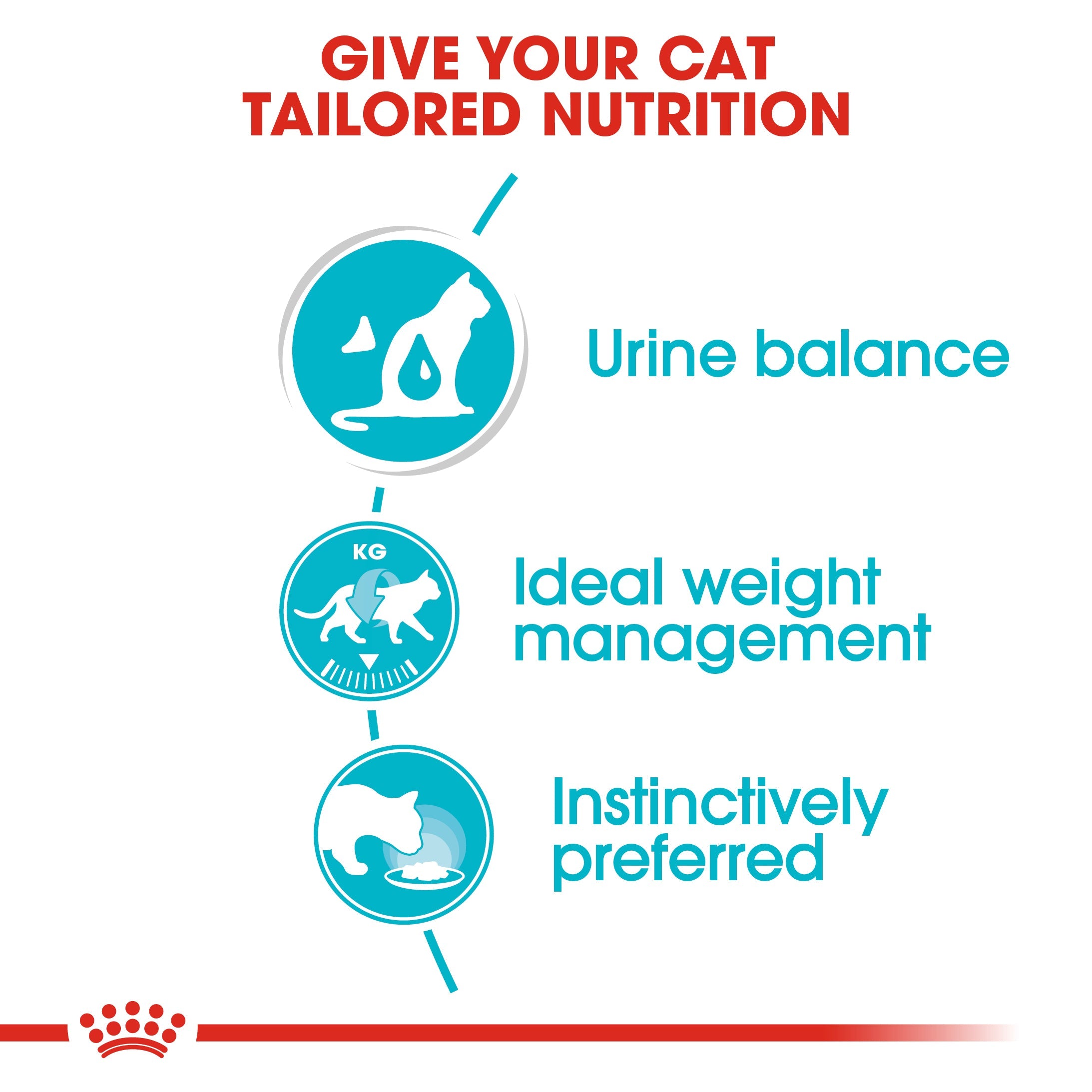 Royal Canin Care In Gravy Adult Wet Cat Food