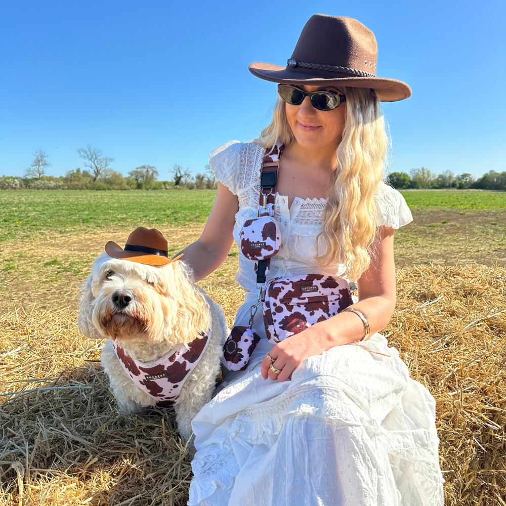 Rodeo Pup Dog Hat: Medium