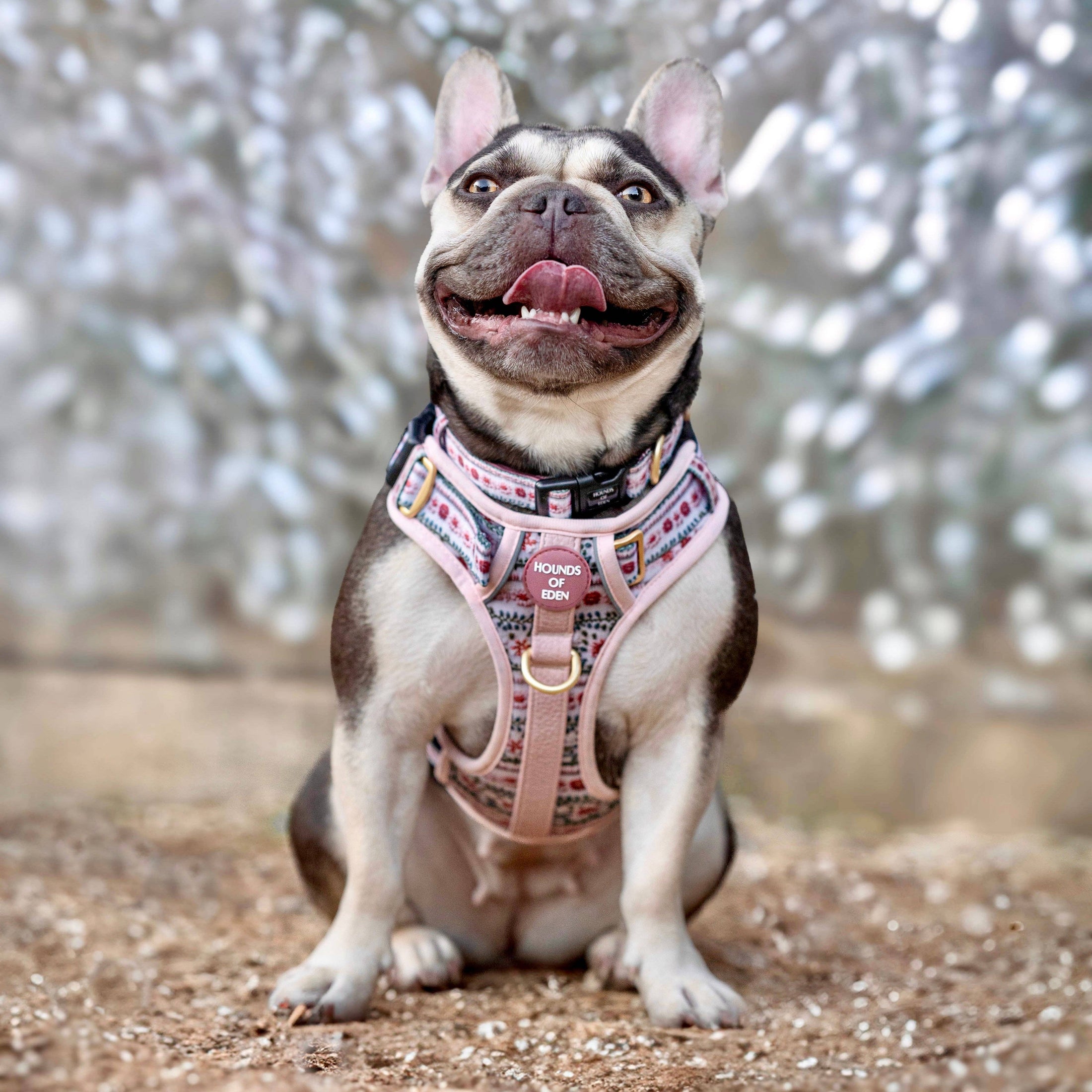 Bella's Jumper Supaw Strong Lite™ Dog Harness (XS-XL): Large