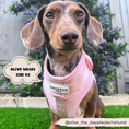 Load image into Gallery viewer, NAKD Adjustable Neck Harness - Candyfloss: XS
