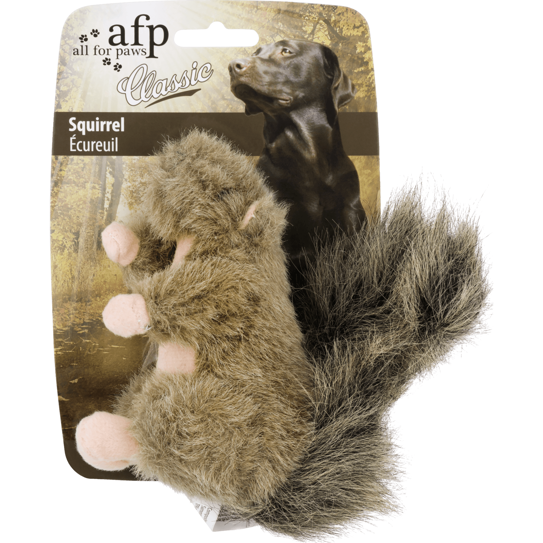 All For Paw Classic Squirrel Dog Toy