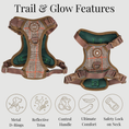 Load image into Gallery viewer, Trail & Glow Tweed Dog Harness & Lead Set - Colour Drops - Heritage Plaid: XS
