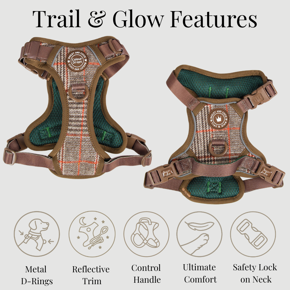 Trail & Glow Tweed Dog Harness & Lead Set - Colour Drops - Heritage Plaid: XS
