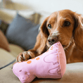 Load image into Gallery viewer, Beco Recycled Soft Dog Toy Eco-Friendly Plush Dinosaur Puppy Chew Toy Baby Hattie, Small
