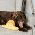 Load image into Gallery viewer, Beco Recycled Soft Dog Toy Eco-Friendly Plush Squeaky Dinosaur Chew Toy Daisy Dimetrodon Medium
