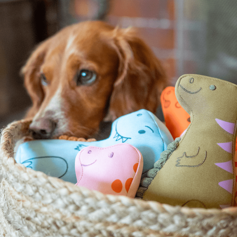 Beco Recycled Soft Dog Toy Eco-Friendly Plush Dinosaur Puppy Chew Toy Baby Hattie, Small