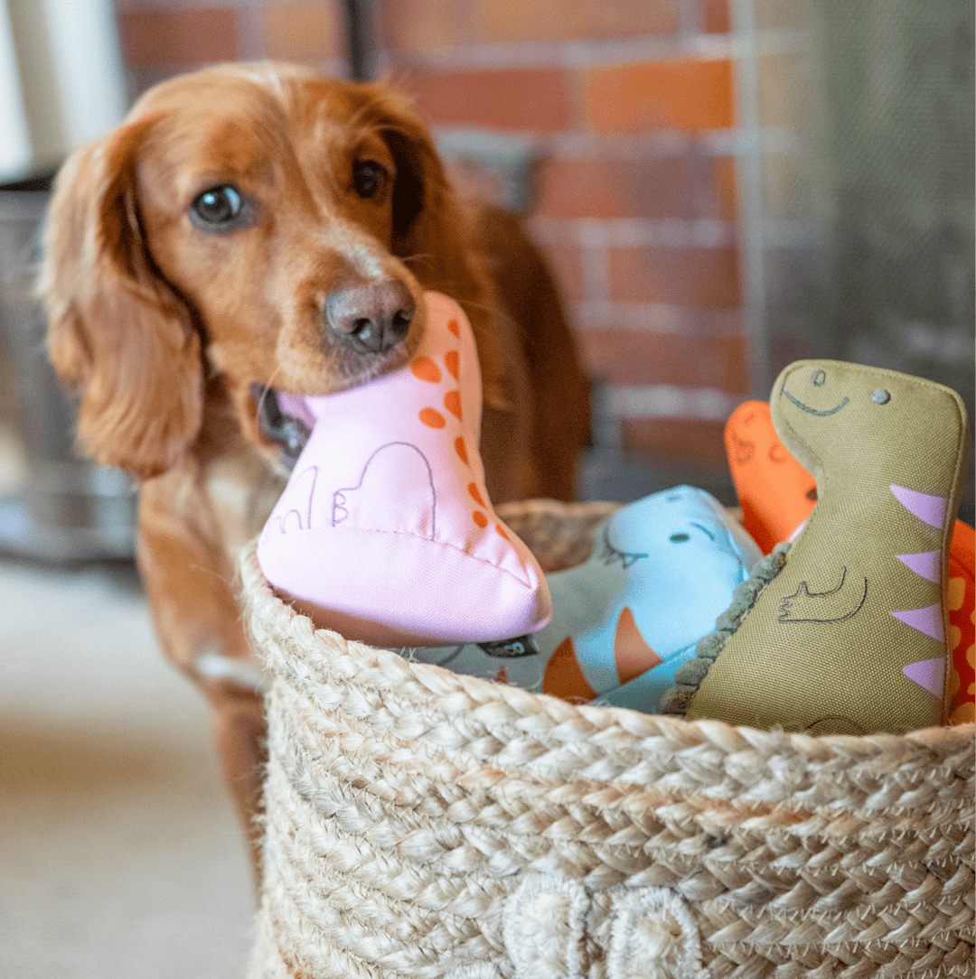 Beco Recycled Soft Tony T-Rex Medium Eco-Friendly Plush Dinosaur Dog Toy for Medium Dogs