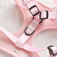 Load image into Gallery viewer, Luxe Adjustable Neck Harness - Baby Pink Heart: L

