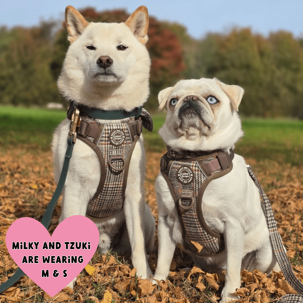 Trail & Glow Tweed Dog Harness & Lead Set - Colour Drops - Heritage Plaid: M