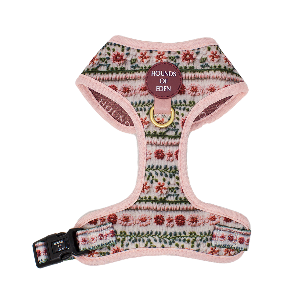 Bella's Jumper Dog Collar + Tag Holder: Medium