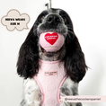 Load image into Gallery viewer, Luxe Adjustable Neck Harness - Baby Pink Heart: M
