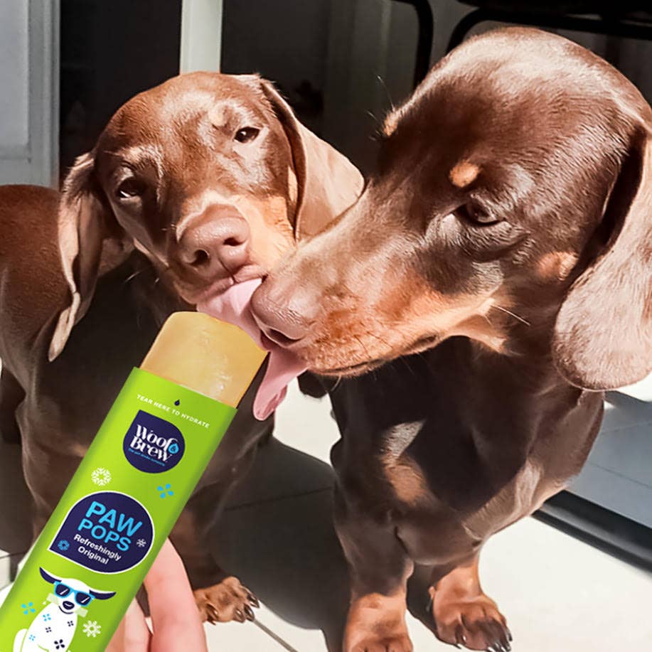 Woof&Brew Paw Pops for Dogs  - Freeze Pops for Dogs