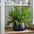 Load image into Gallery viewer, NEW Sahara Sunset Large Plant Pot
