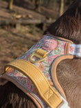 Load image into Gallery viewer, Pastel Petals - Supaw Strong™ Dog Harness (XS-XL): Small

