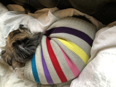 Sotnos Super Stripe Sweater
