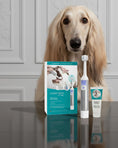 Load image into Gallery viewer, CleanyTeeth Starter Kit – Complete Dental Care for Cats & Dogs
