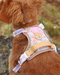 Load image into Gallery viewer, Pastel Petals - Supaw Strong™ Dog Harness (XS-XL): Small
