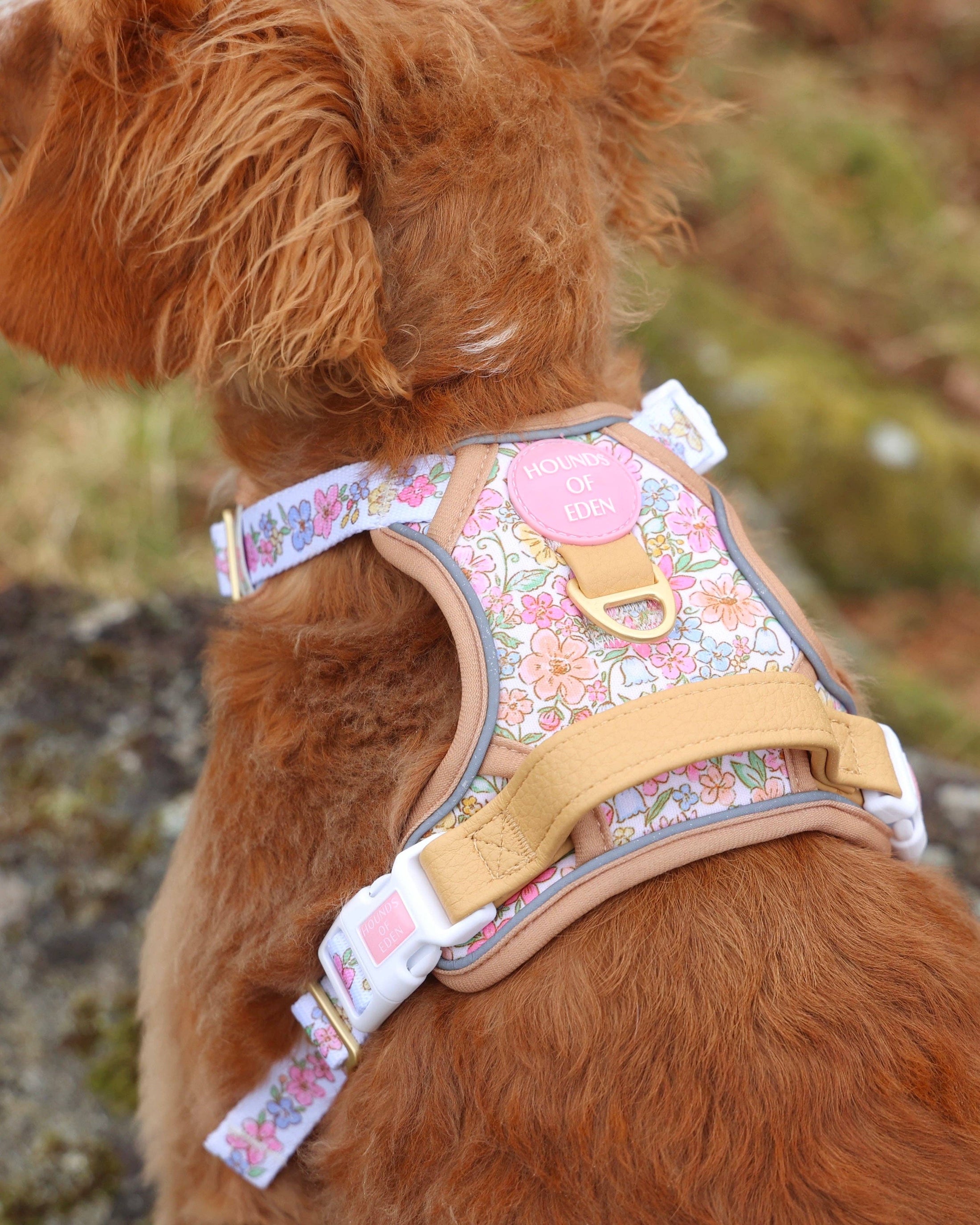 Pastel Petals - Supaw Strong™ Dog Harness (XS-XL): Medium