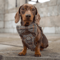 Load image into Gallery viewer, Bow Tie - Colour Drops - Heritage Plaid
