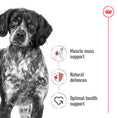 Load image into Gallery viewer, Royal Canin Medium Dry Adult Dog Food 3kg

