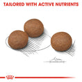 Load image into Gallery viewer, Royal Canin Medium Digestive Care Adult Dry Dog Food
