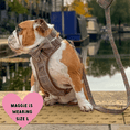 Load image into Gallery viewer, Trail & Glow Tweed Dog Harness & Lead Set - Colour Drops - Heritage Plaid: XS
