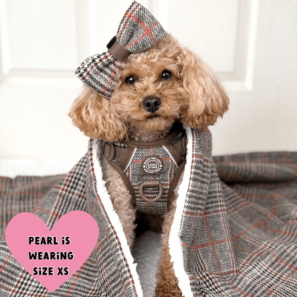 Trail & Glow Tweed Dog Harness - Colour Drops - Heritage Plaid: L
