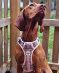 Load image into Gallery viewer, Bella's Jumper Supaw Strong Lite™ Dog Harness (XS-XL): XSmall
