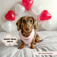Load image into Gallery viewer, Luxe Adjustable Neck Harness - Baby Pink Heart: XS
