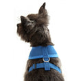 Load image into Gallery viewer, Doodlebone Air Mesh Harness
