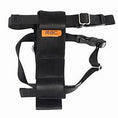 Load image into Gallery viewer, RAC Car Safe Dog Harness
