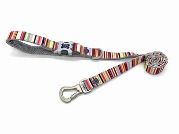 Hugo & Hudson Stripe Lead