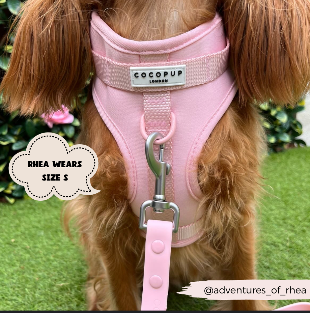 NAKD Adjustable Neck Harness - Candyfloss: S