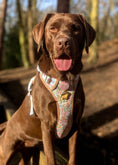 Load image into Gallery viewer, Pastel Petals - Supaw Strong™ Dog Harness (XS-XL): Small
