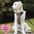 Load image into Gallery viewer, Trail & Glow Tweed Dog Harness - Colour Drops - Heritage Plaid: L
