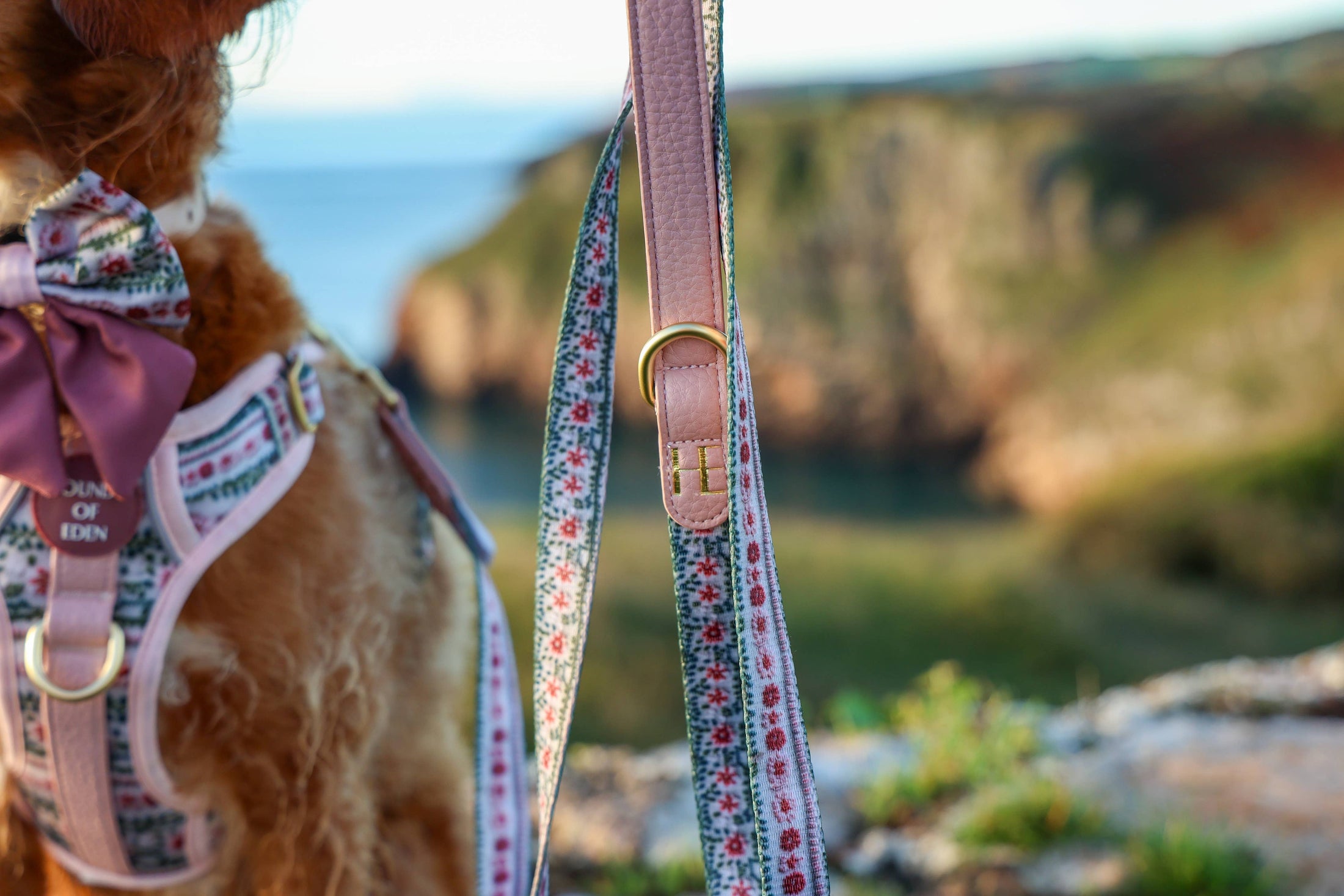 Bella's Jumper Supaw Strong Lite™ Dog Harness (XS-XL): Medium