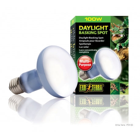 Exo Terra Daylight Basking Spot Lamp