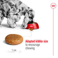 Load image into Gallery viewer, Royal Canin Medium Dry Adult Dog Food 3kg
