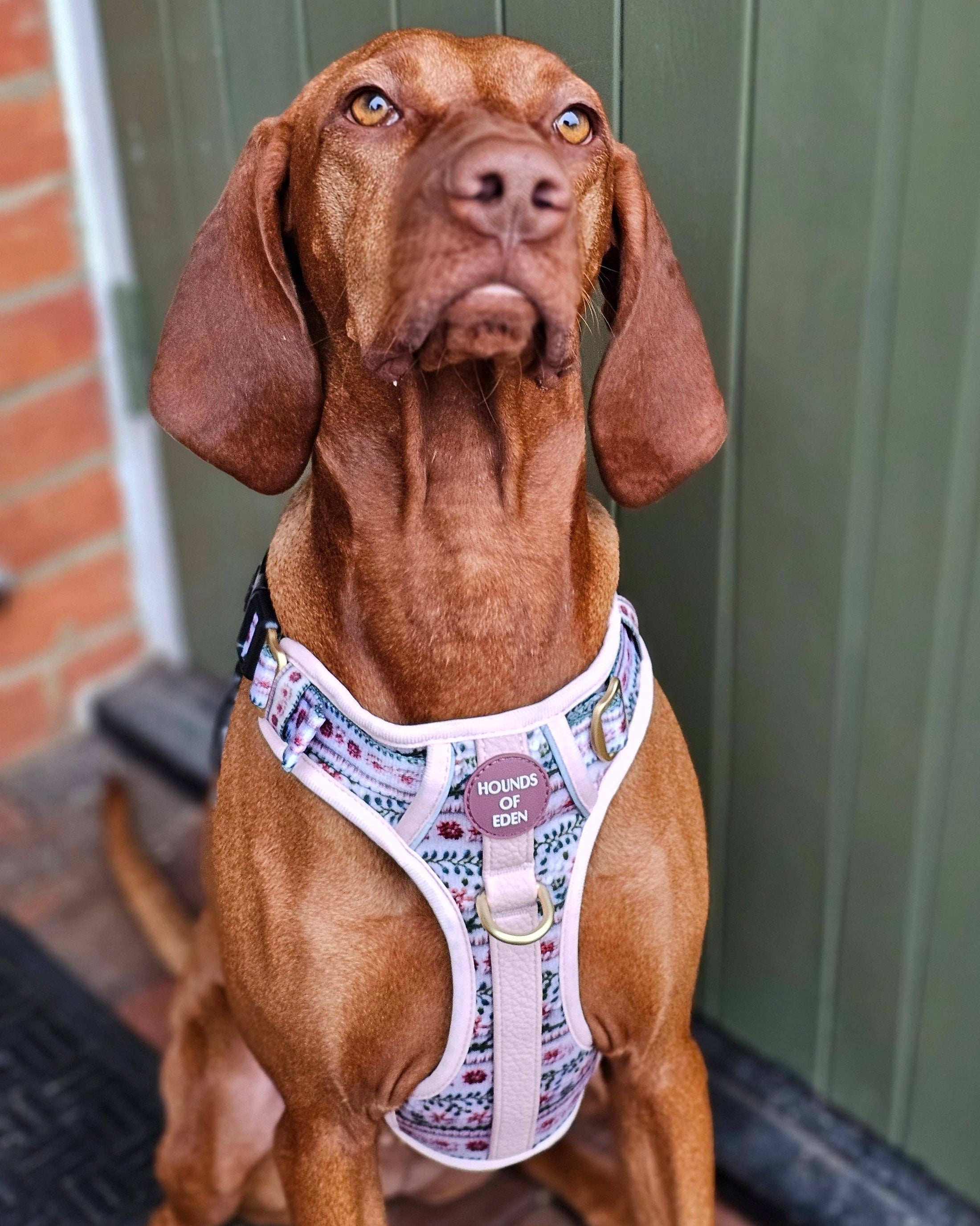 Bella's Jumper Supaw Strong Lite™ Dog Harness (XS-XL): XSmall