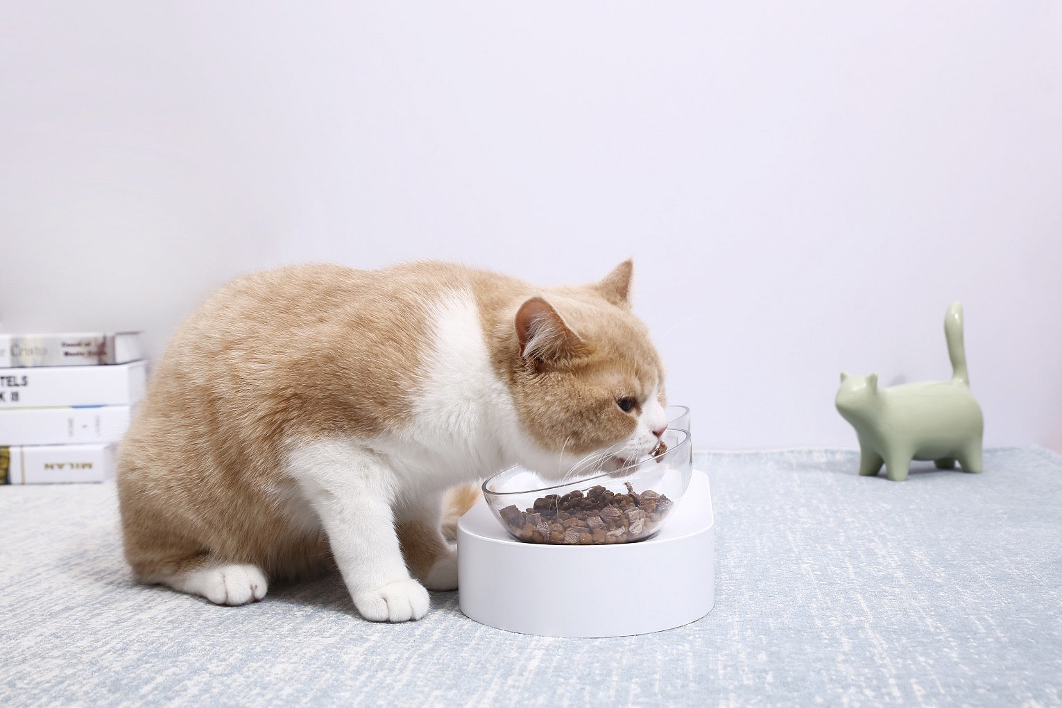 Petkit Nano Adjustable Feeding Bowl