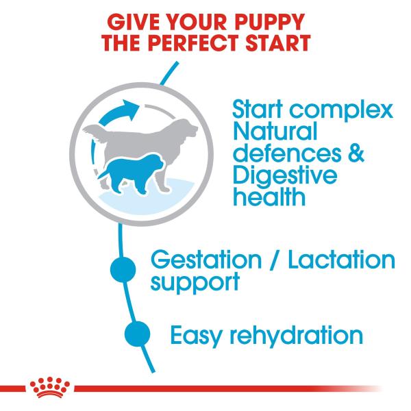 Royal Canin Giant Starter Mother & Babydog Adult and Puppy Dry Food