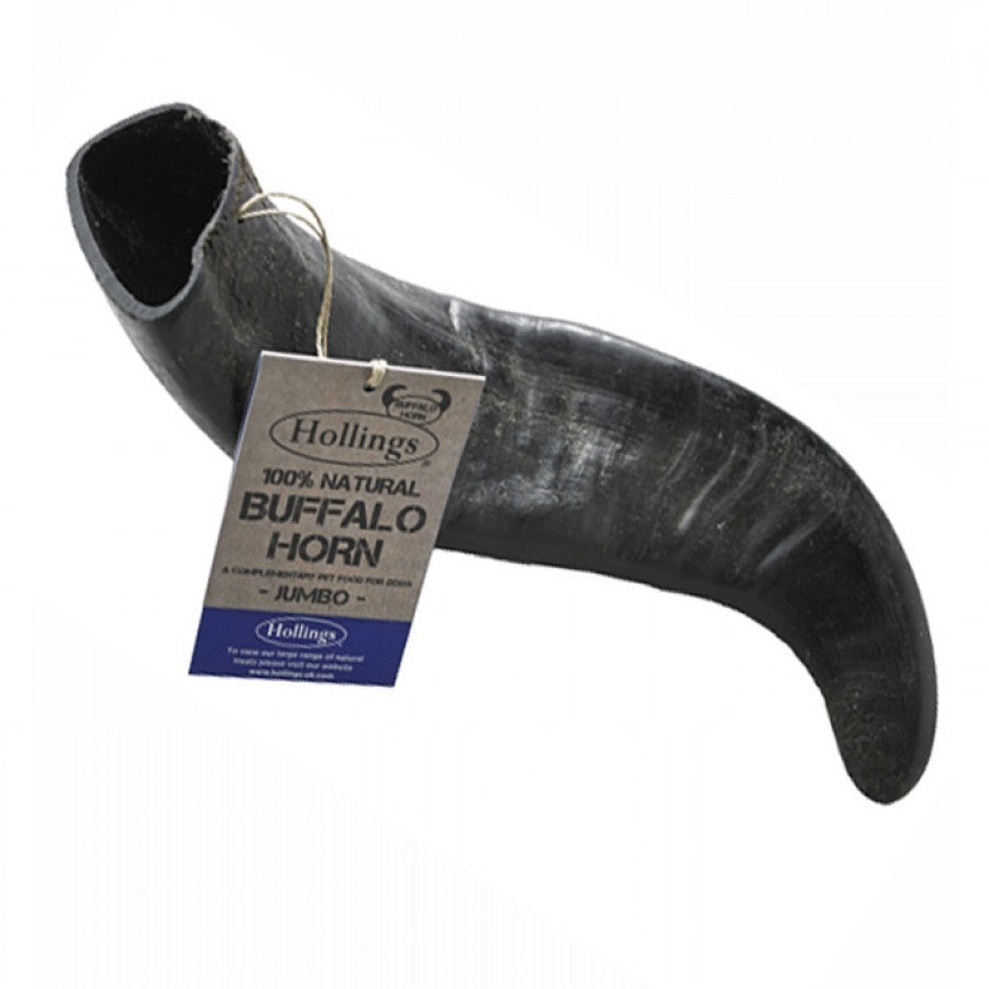 Hollings Buffalo Horn