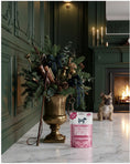 Load image into Gallery viewer, Hownd Got an Itch? Plant Based Hypoallergenic Wellness Treats 100g
