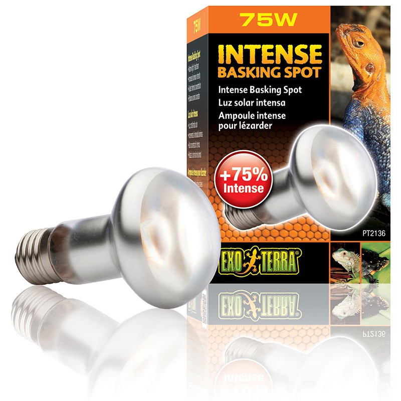 Exo Terra Sunglo Basking Spot Lamp Bulb Reptile Lightning