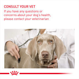 Royal Canin Mini Light Weight Care Adult Dry Dog Food