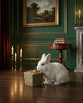 Load image into Gallery viewer, Little One Bowl From Meadow Grass With Filling Small Pet Treats
