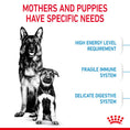 Load image into Gallery viewer, Royal Canin Maxi Starter Mother & Babydog Adult and Puppy Dry Food
