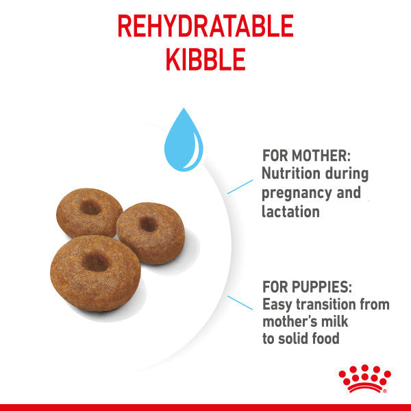 Royal Canin Maxi Starter Mother & Babydog Adult and Puppy Dry Food