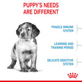 Load image into Gallery viewer, Royal Canin Medium Puppy Dry Dog Food
