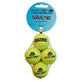 Load image into Gallery viewer, Sportspet Tennis Balls For Dogs
